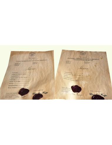 Pack PREMIUM MODELO 2: Carta de...